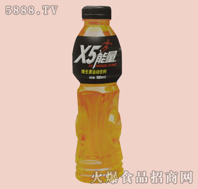 X5\(yn)(dng)580ml