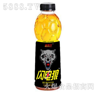 gWǾSL(fng)ζ600ml