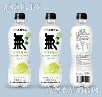 ԪɭʳƷKˮζ480ml