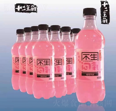 ʮǙѻˮ̼480ml