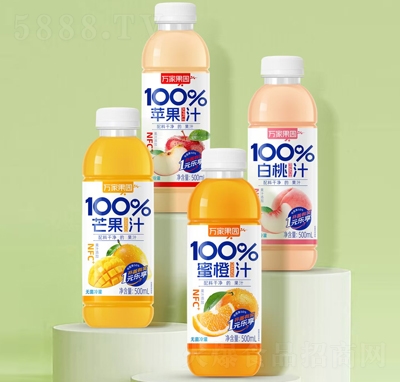 fҹ@100%֭500ml