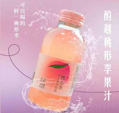 ԽͺϹ֭310ml